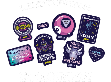 Limited Edition Stickers